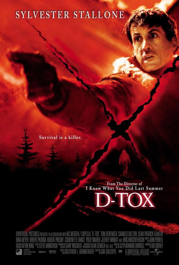 Детоксикация (2001)