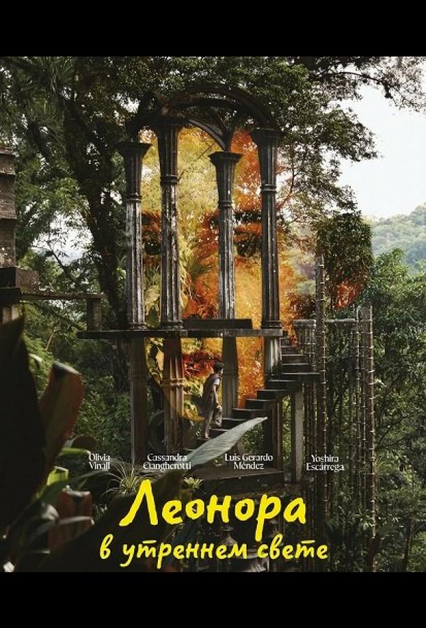 Леонора в утреннем свете (2024)