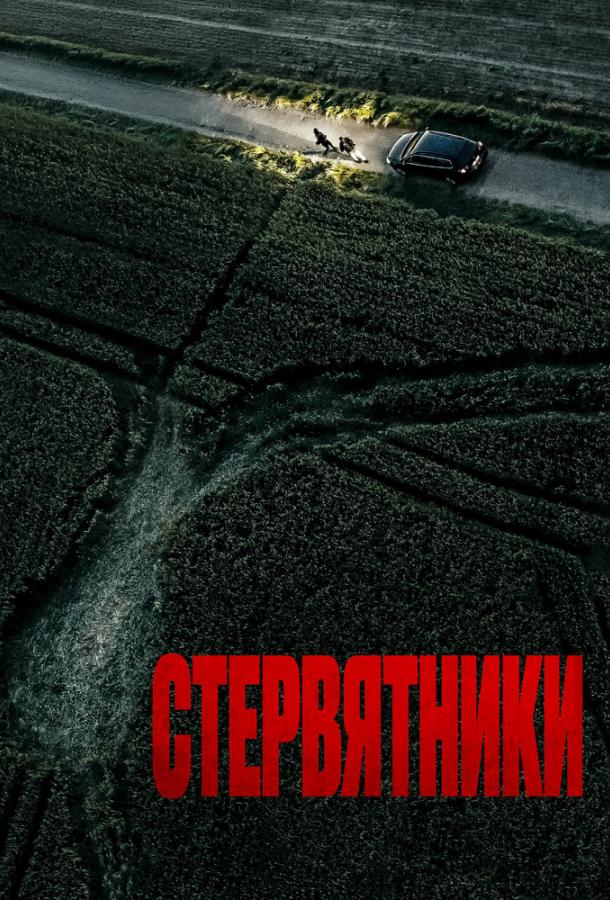 Стервятники (2025)