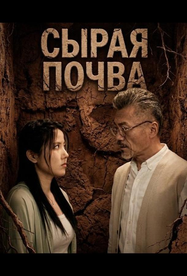 Сырая почва (2024)