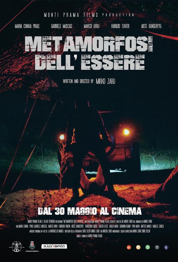 Метаморфоза бытия (2024)
