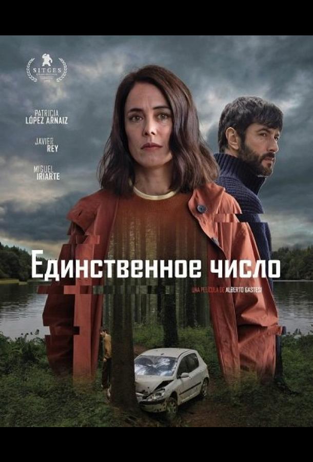Единственное число (2025)