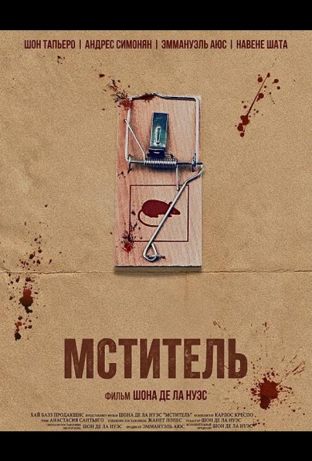 Мститель (2025)